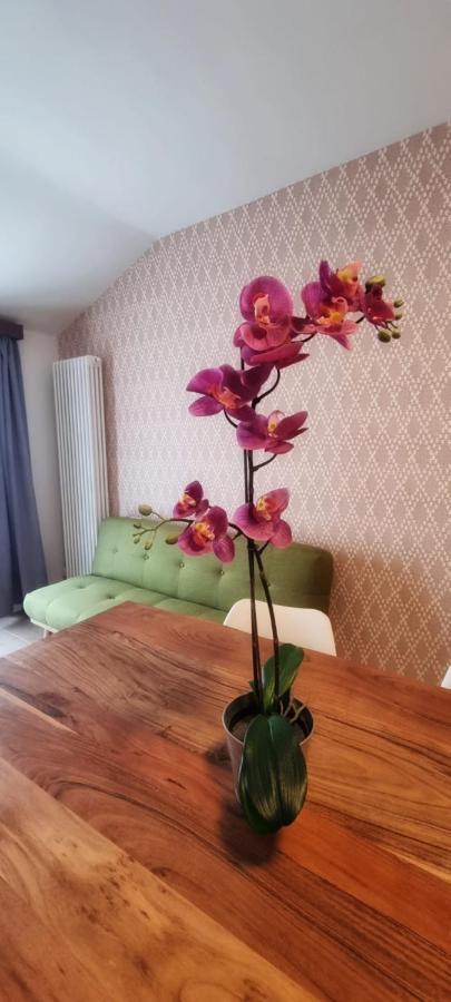 Casa Barcelli Sport & Family Apartments トルボレ エクステリア 写真